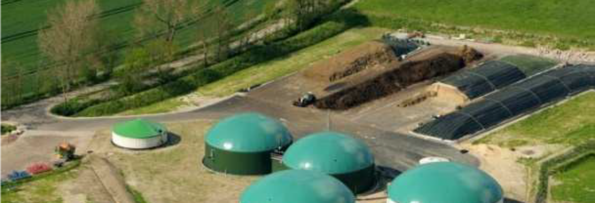 biogas treatment